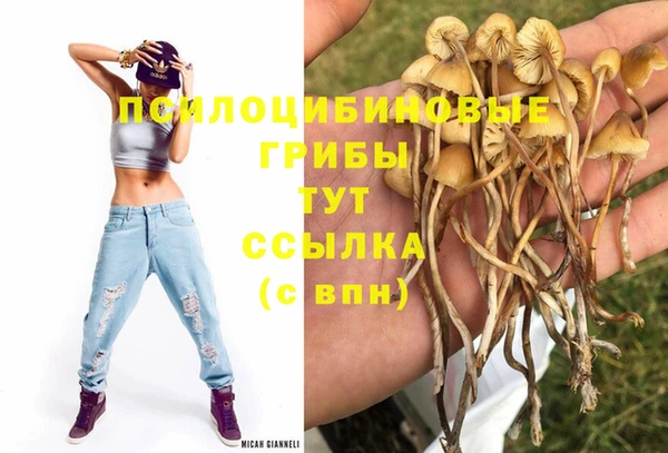 ALPHA-PVP Беломорск